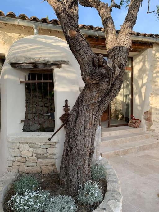 La Planette Villa Venasque Bagian luar foto